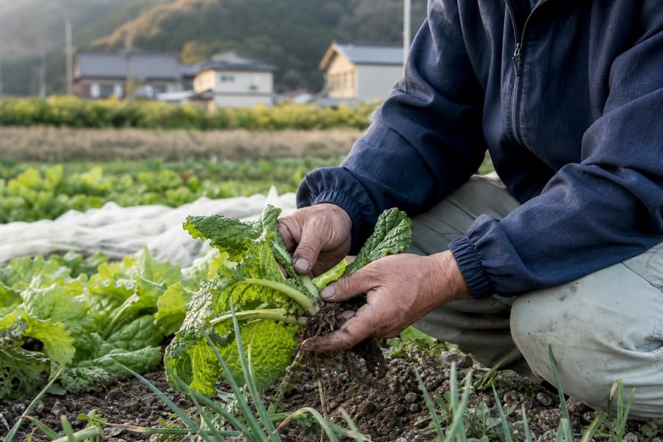 農林水産の制度を表すイメージ写真